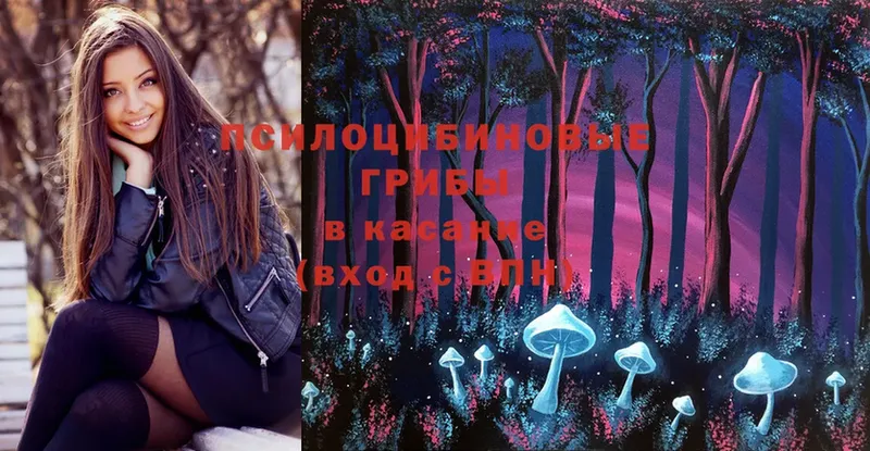 Псилоцибиновые грибы Magic Shrooms  где продают   ссылка на мегу   Олонец 